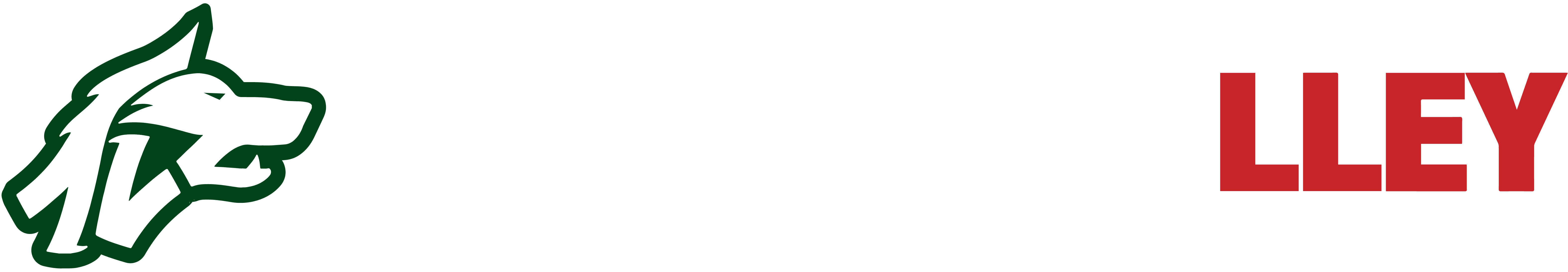 Avellino Basket